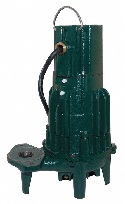 2 HP Effluent Pump No Switch Included
