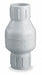 Spring Check Valve 5.75 in Overall L