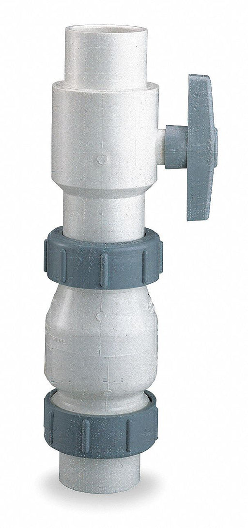 Check Valve with Ball Valve