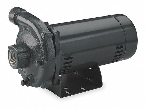 Pump 2-1/2 HP 1 Ph 240VAC