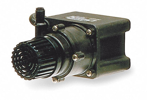 Magnt Drv Pmp 1/4in NPT 1/35hp Glss PP