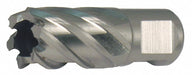 Annular Cutter 1.1875in HSS