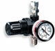 Air Regulator with Gauge 250 psi 150F
