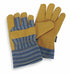 D1664 Cold Protection Gloves XL Yellow/Blue