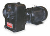 Self Priming Pump 3 HP Cast Iron