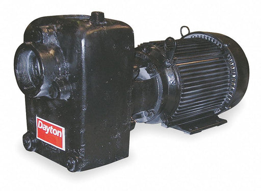 Self Priming Pump 3 HP Cast Iron