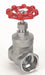 Gate Valve 1 316 SS Socket