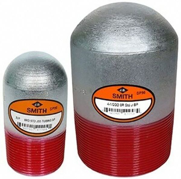 Round Head Bull Plug Carbon Steel 2 in