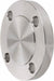 Pipe Flange 304 SS 3 in Pipe Size