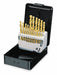Jobber Drill Set 21 pc HSS