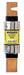Fuse 250VAC Blade RK1 100A 250VDC 