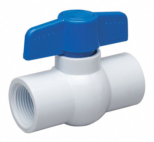 Manual 2-Way Ball Valve IPS PVC