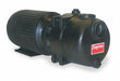 Sewage/Trash Pump 3 HP