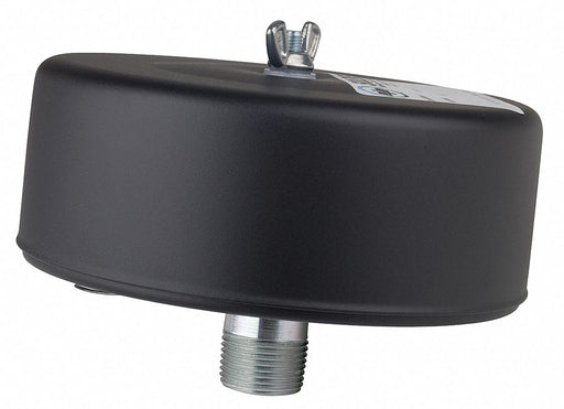 Filter Silencer 3/4 MNPT Inlet 25 cfm