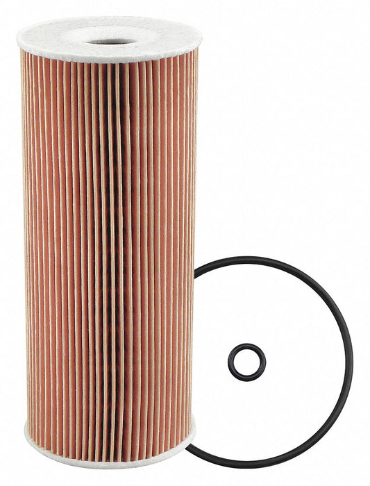 Element Only 6-1/32 L