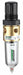 Filt-Reg 1/4 NPT 12 cfm 5 micron