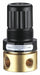 Air Regulator 1/8 in NPT 15 cfm 400 psi