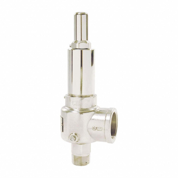 POP Safety Valve 1-1/2 x 2 In 175 psi