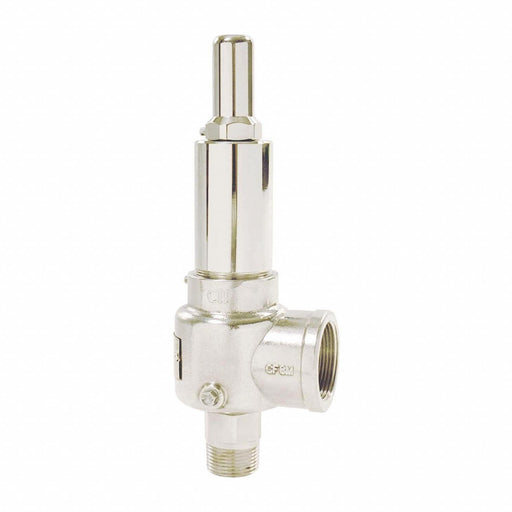 D4495 POP Safety Valve 1 x 1-1/4 In 75 psi