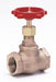 Globe Valve 3/4 Bronze FNPT 200 psi