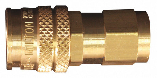 AMT Style Universal Coupler 1/4 FNPT