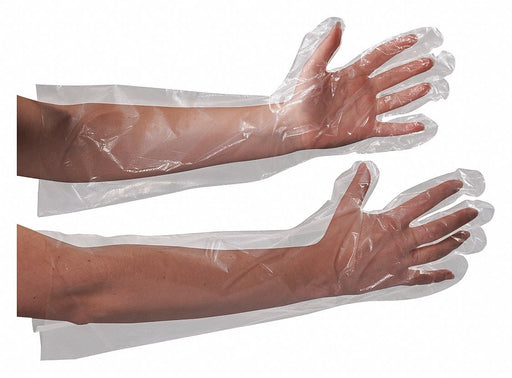 Gloves Poly Elbow Length 18 PK100