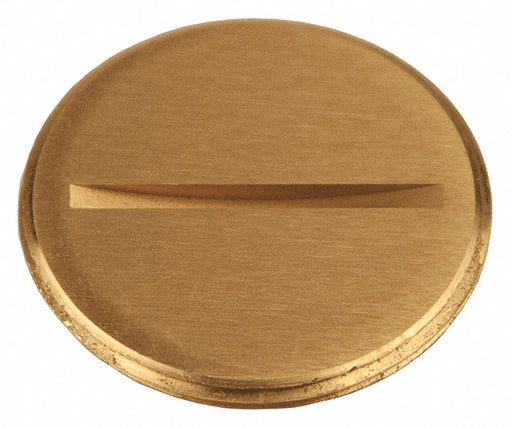 Flush Replacement Plug 1-1/2 L Brass