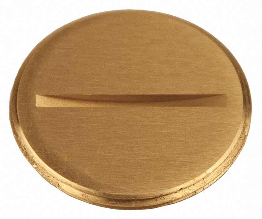 Flush Replacement Plug 1-1/2 L Brass