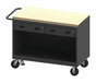 Mobile Workstation Steel 48 L 24 W