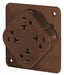 Recept Brown 20 A 2P3W Back Side 1PK