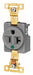 Receptacle Gray Hospital Grade 125VAC