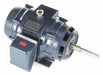 Motor 10 HP 1 180 rpm 256JP 230/460V