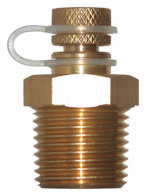 Pressure Test Plug Brass 1/2 in NPT