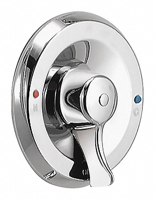 Trim Moen Chrome