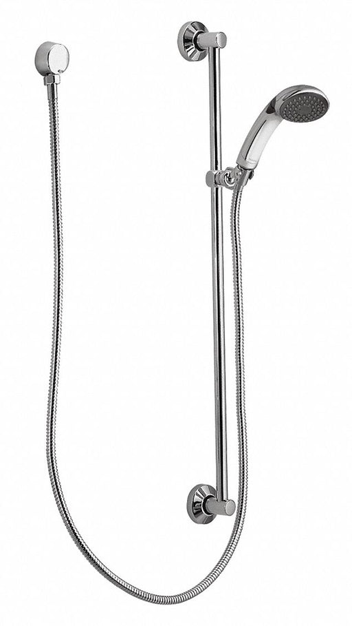Handheld Shower Flat Circle 2.5 gpm