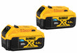 Battery Pack (2) 5.0 Ah Li-Ion PK2