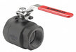 Manual 2-Way Ball Valve NPT Carbon Steel