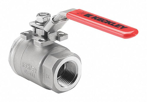 Manual 2-Way Ball Valve NPT SS