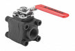 Manual 2-Way Ball Valve NPT Carbon Steel