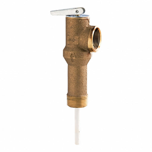 T and P Relief Valve 3/4 in Outlet