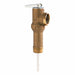 T and P Relief Valve 3/4 in Outlet