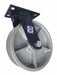 Plate Caster Swivel Iron 11 1/2 H