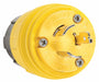 Watertight Locking Plug 125/250VAC 20A