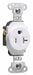 Receptacle Straight Blade Type 15A