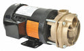 Turbine Pump 2 HP -230 to 460V