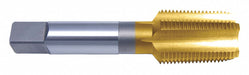 Extension Tap 3/8 -18 HSS