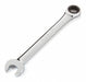 Ratcheting Combination Wrench 19mm