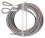 Extension Cable 1/8 in Dia 12 ft L PR