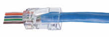 Modular Plug Category 6 Cable Clear PK50