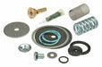 Valve Rebuild Kit Fits Watts 1 Size